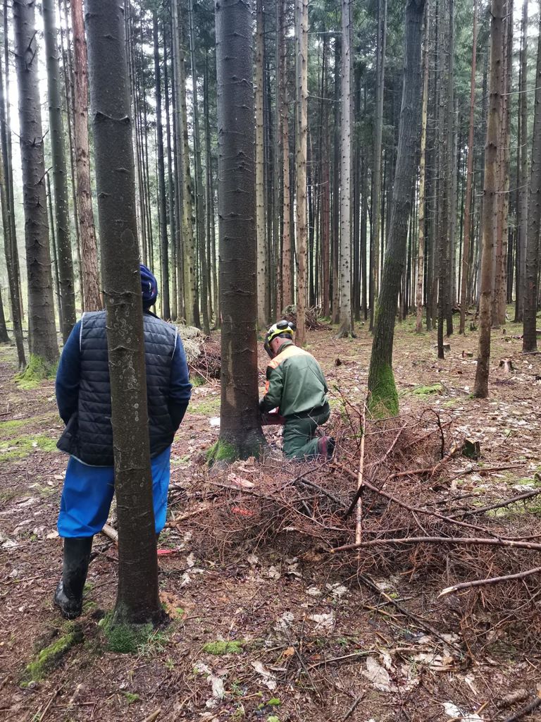 Postavitev Mlaja Na Tradicionalen Na In Ob Ina Prebold Mojaob Ina Si