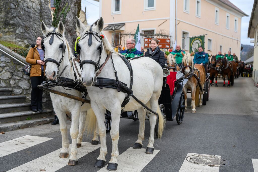 Na praznični dan tradicionalni blagoslov konj v Šentvidu pri Stični