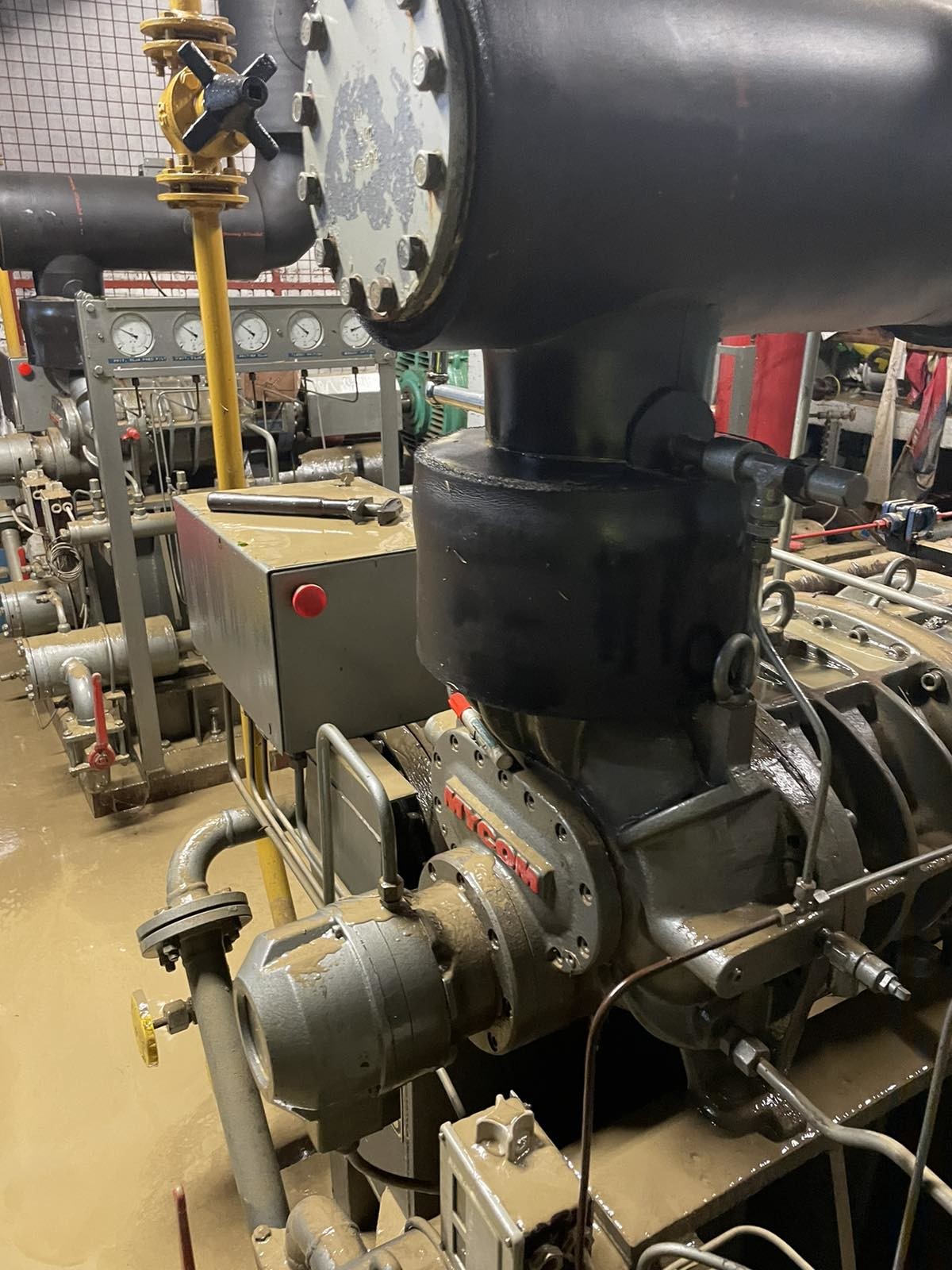 Drsalie v Mestnem parku Celje slika 3