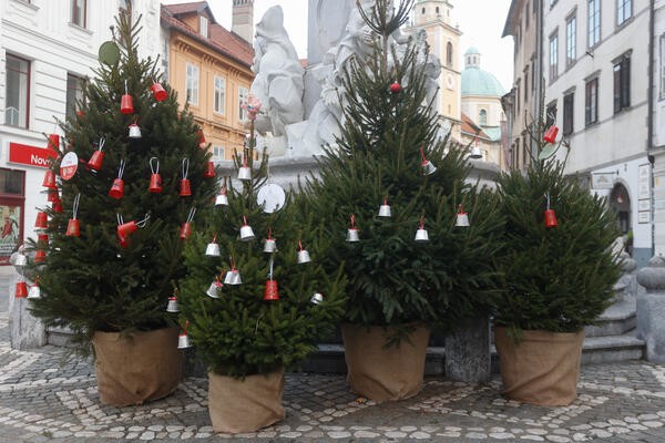 novoletna drevesa. Foto: N. Rovan