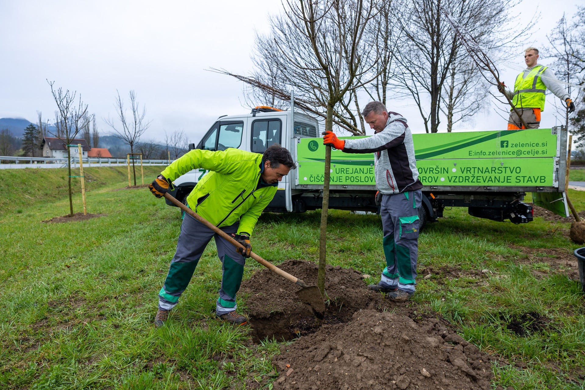 Sajenje dreves avtor Rok Dezelak