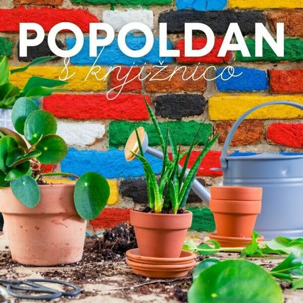 Popoldan s knjiznico. Foto vir: MKLJ