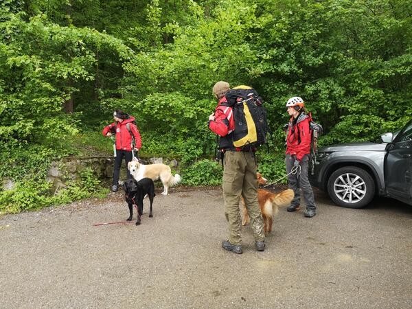 vodniki in psi v akciji