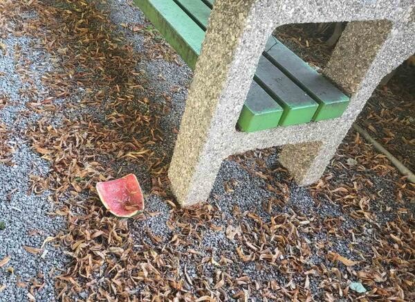 IMG 272af1762983c552f2742b3f428dc87a V