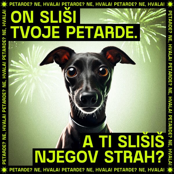 IG FB Carousel Pablo