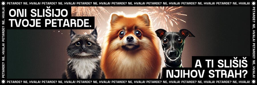 X page cover copy v2