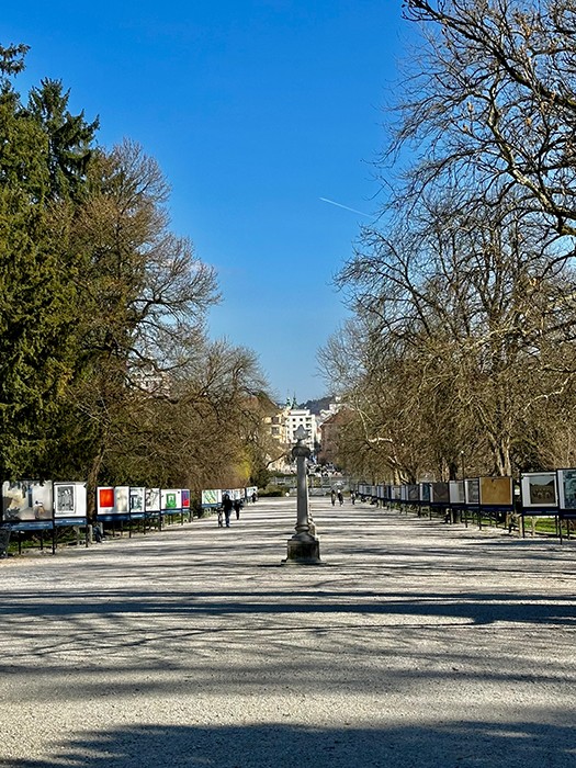 1me an drevored tivoli 1742456061581