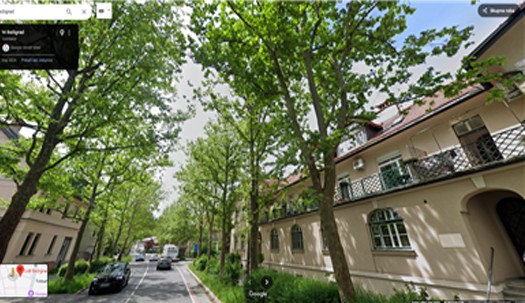 1platane ulica be igrad 1742455970826