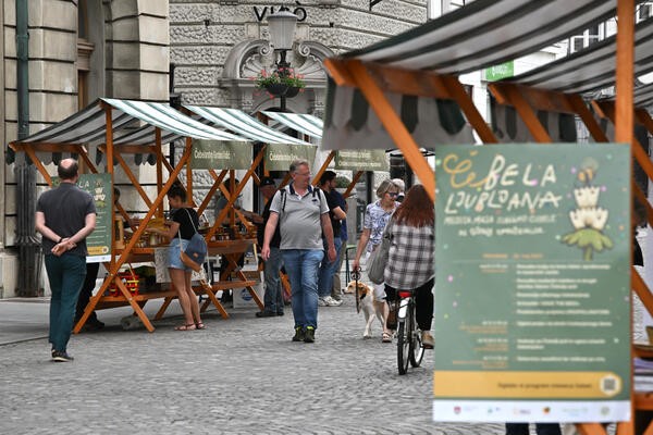 čebelji dan na Stritarjevi ulici 