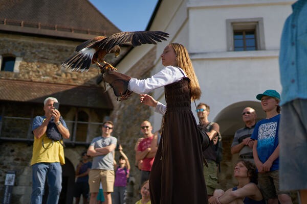 Grajki dnevsi foto Blaz Znidaric
