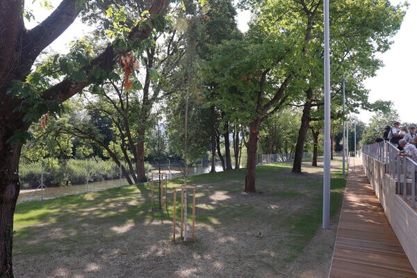 Nabrežje Ljubljanice pod drevesi. Foto: N. Rovan