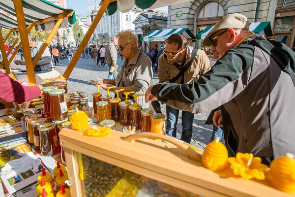 Medeni Dan foto Luka Dakskobler
