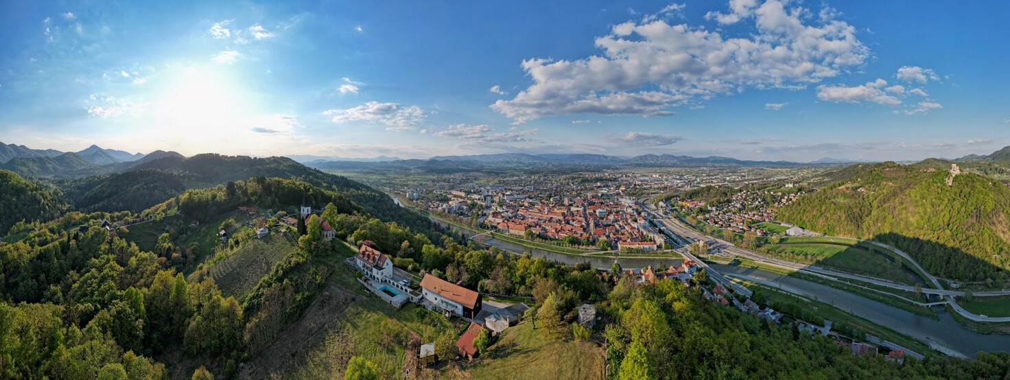 Mestni gozd Peter Ocvirk