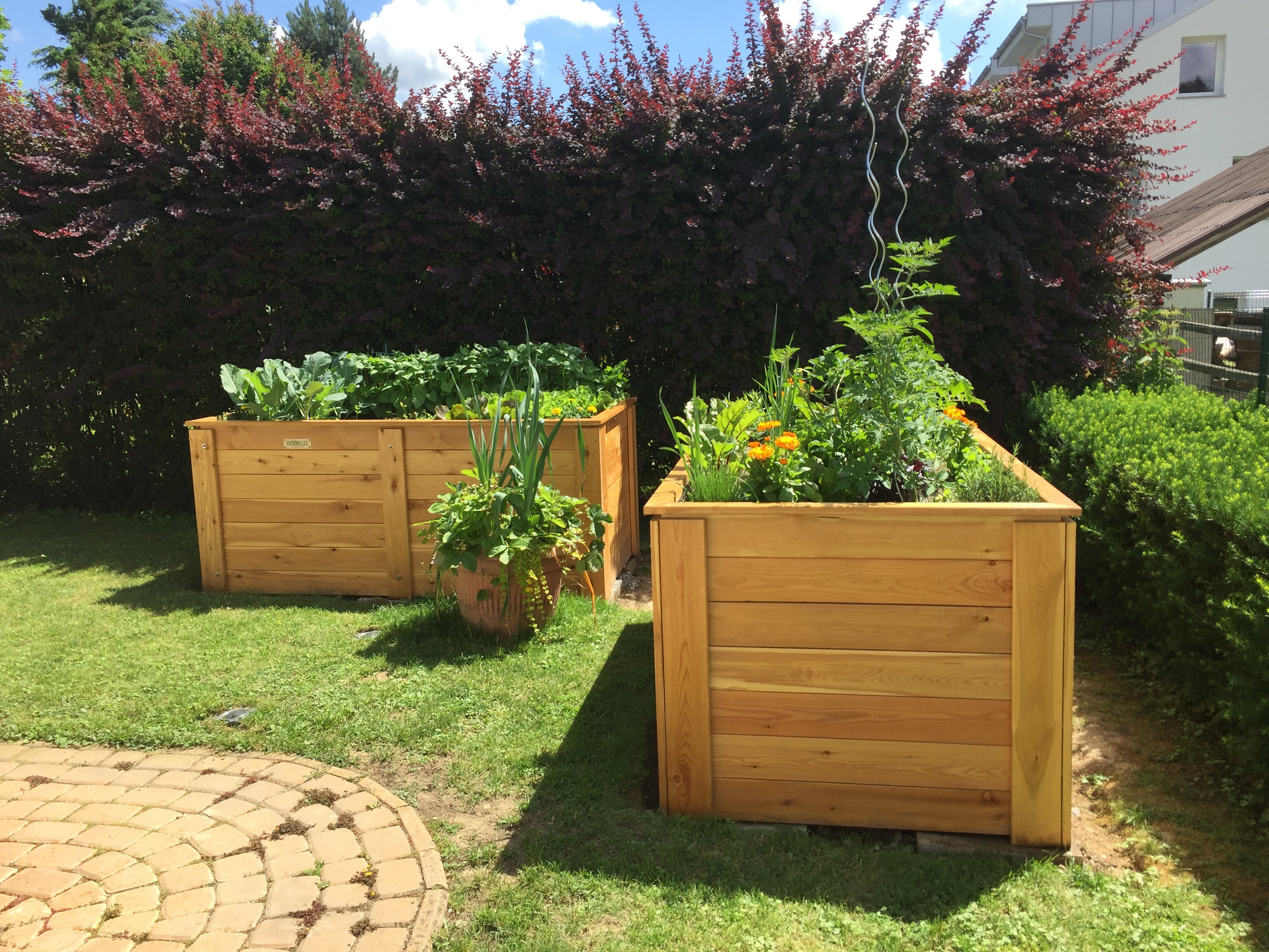 Foto visoke grede teharje 1