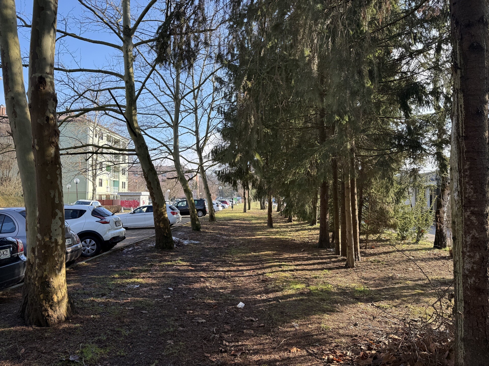 Pod Gabri obmoje urejanja poti