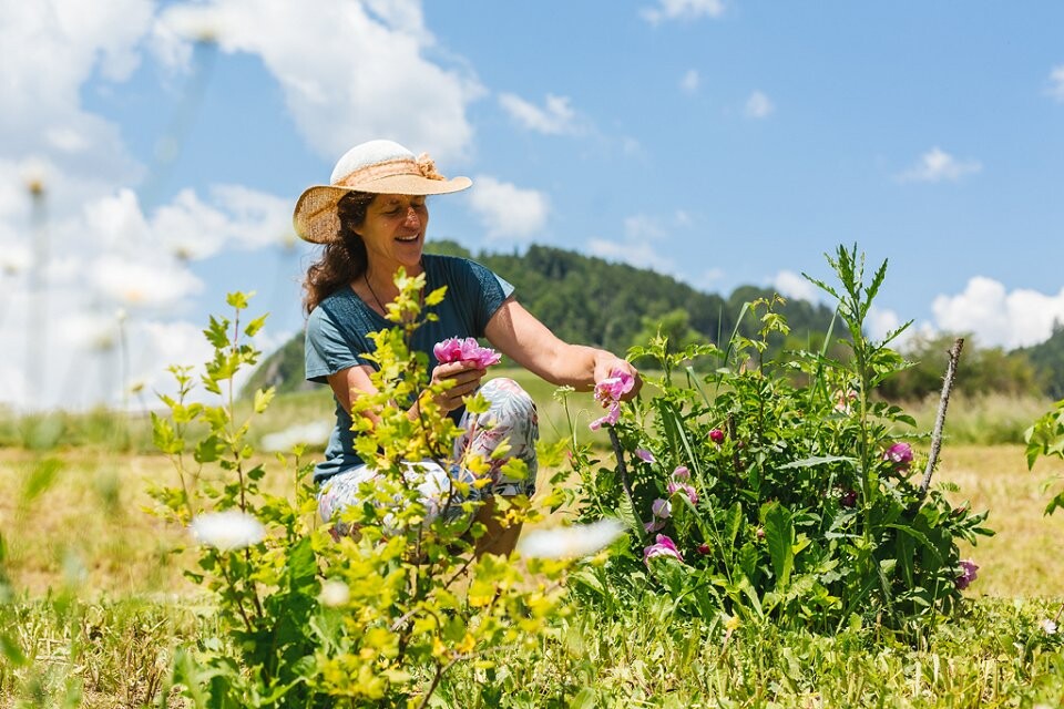 BLS Vrt Okusov Mateja Reš