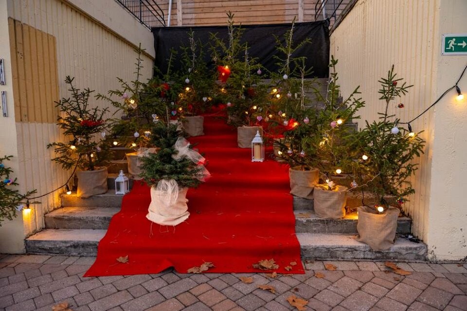 smreke pravljični park bled