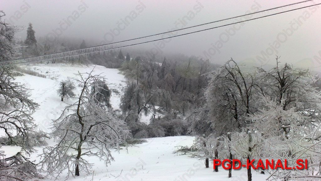 Žled na Srednjem. Foto: Danijel Markič