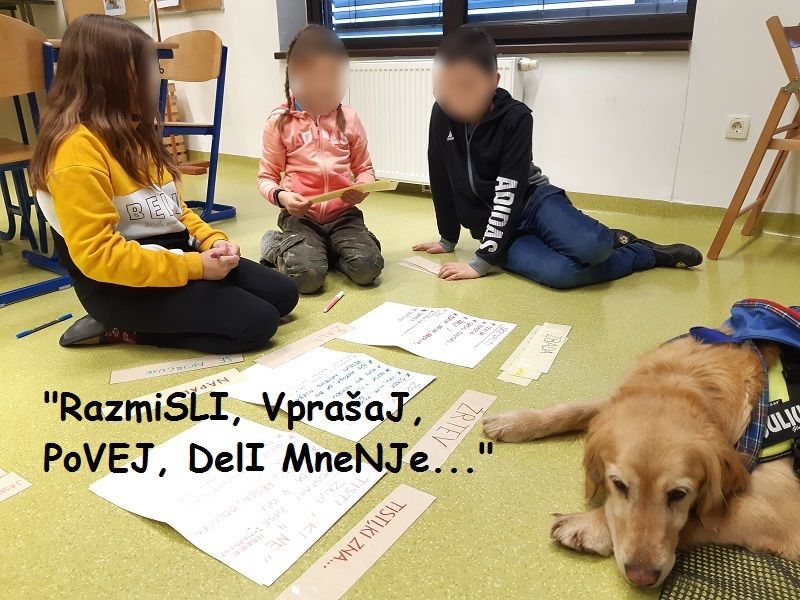 NOVO na Gorenjskem - Učenje socialnih veščin S POMOČJO KUŽA