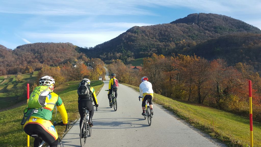 Šport v preteklem letu
