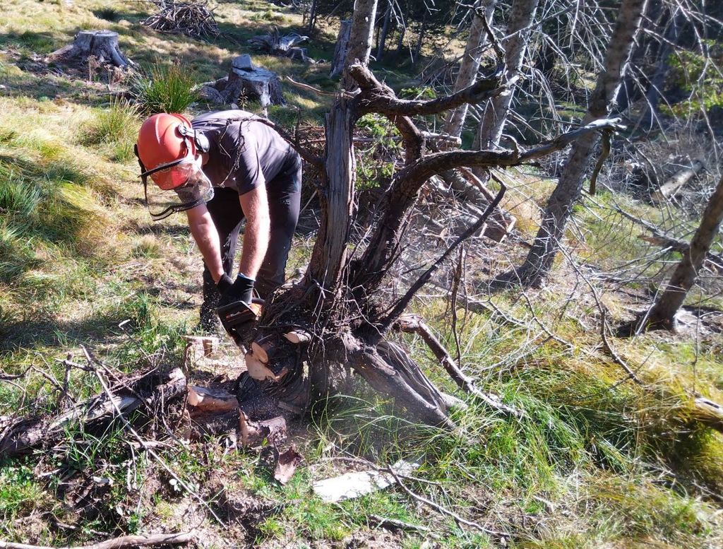 Prostovoljna akcija čiščenja zaraščajočih travišč, planj na Pohorju
