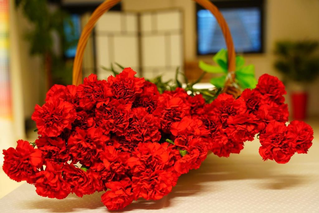 Folklorni večer v Mokronogu