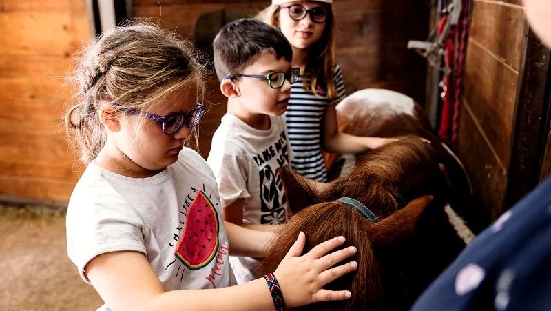 Slepi in slabovidni otroci iz vse Slovenije na športnem dnevu v Olimpijskem centru Novo mesto