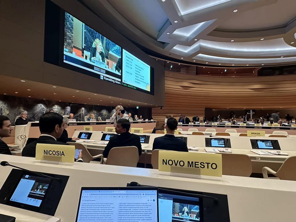 Veliko mednarodno priznanje za Novo mesto