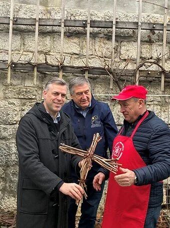 Valentinov rez mestne trte