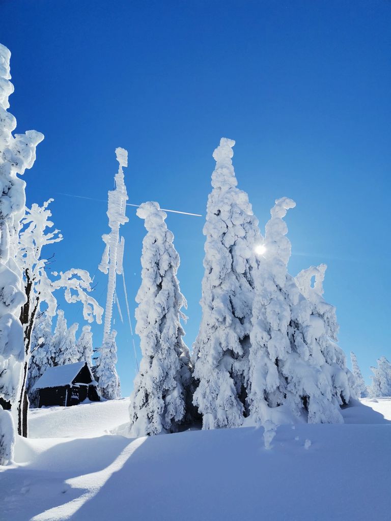 Uspešen zaključek smučarskega tečaja na Kopah
