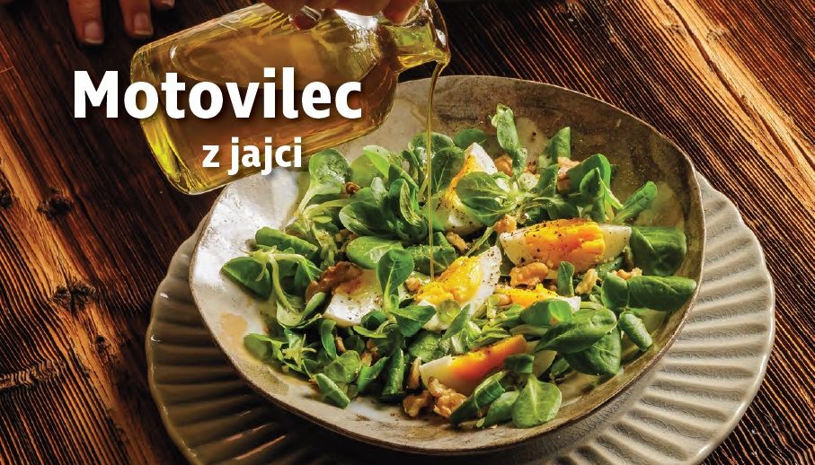 Recepti z okusi Slovenije: Motovilec z jajci