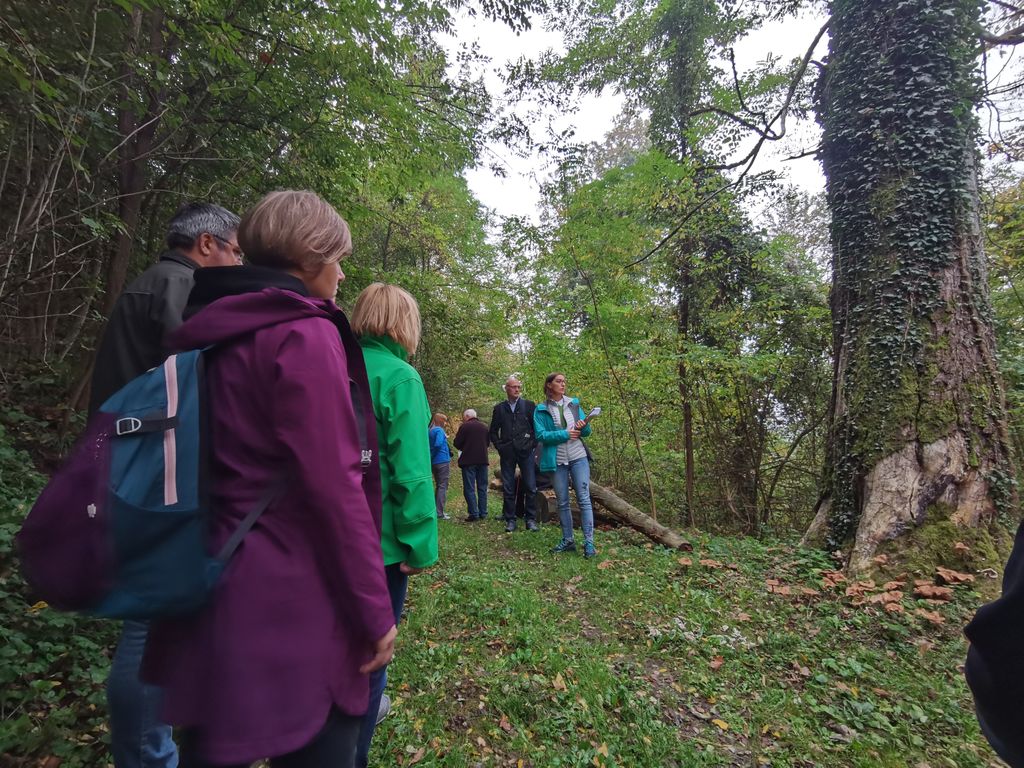 15. oktober – dan tematske poti Gozd je kultura
