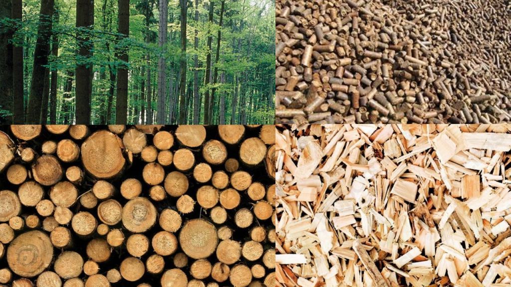 Biomasa (peleti in polena)  je trajnosten energetski vir lokalnega izvora.