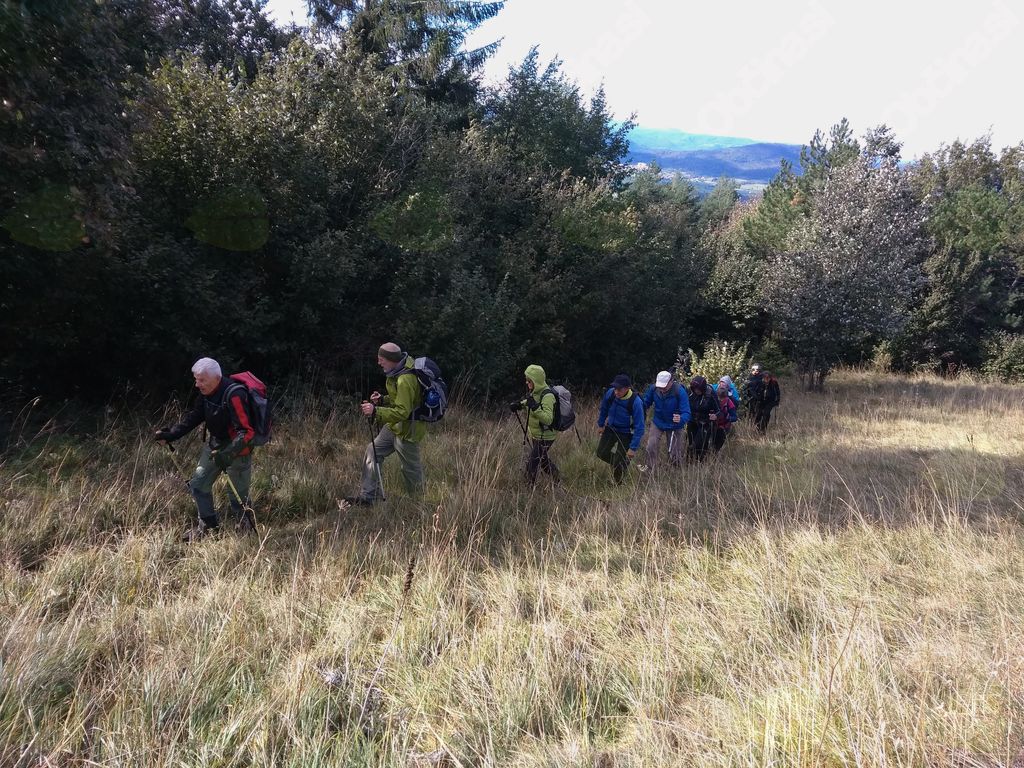 Po enourni hoji po makadamu je prijetno stopati po travi