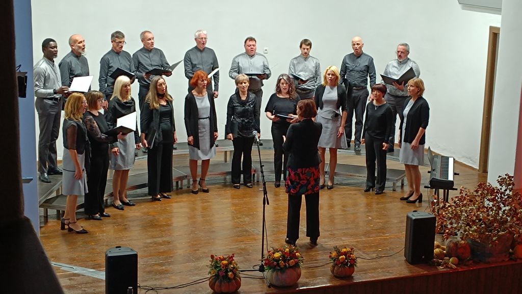 Mešani pevski zbor AmorVincit; Foto: OMK