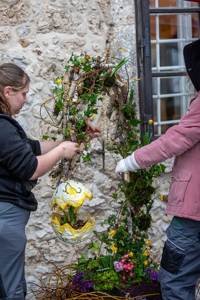 Tekmovanje mladih vrtnarjev in cvetličarjev na Blejskem gradu