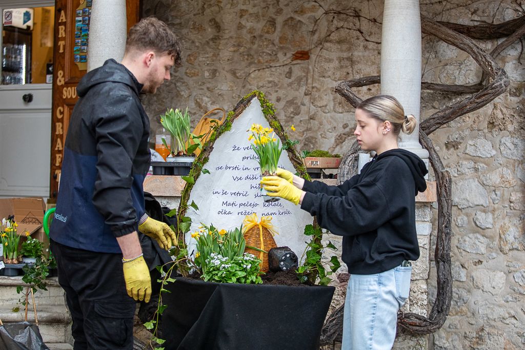 Tekmovanje mladih vrtnarjev in cvetličarjev na Blejskem gradu