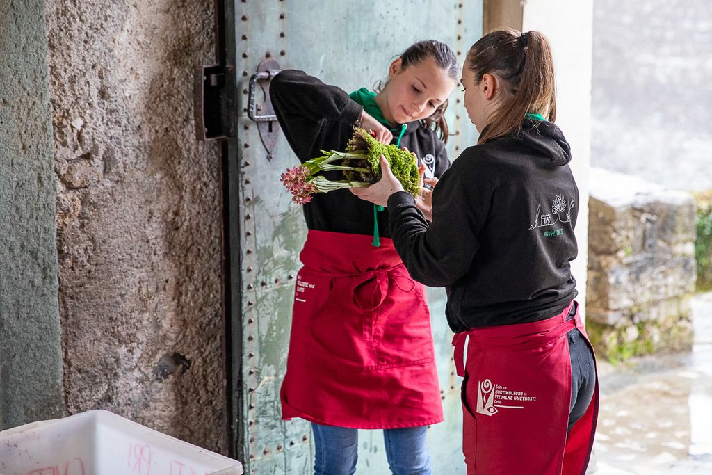 Tekmovanje mladih vrtnarjev in cvetličarjev na Blejskem gradu