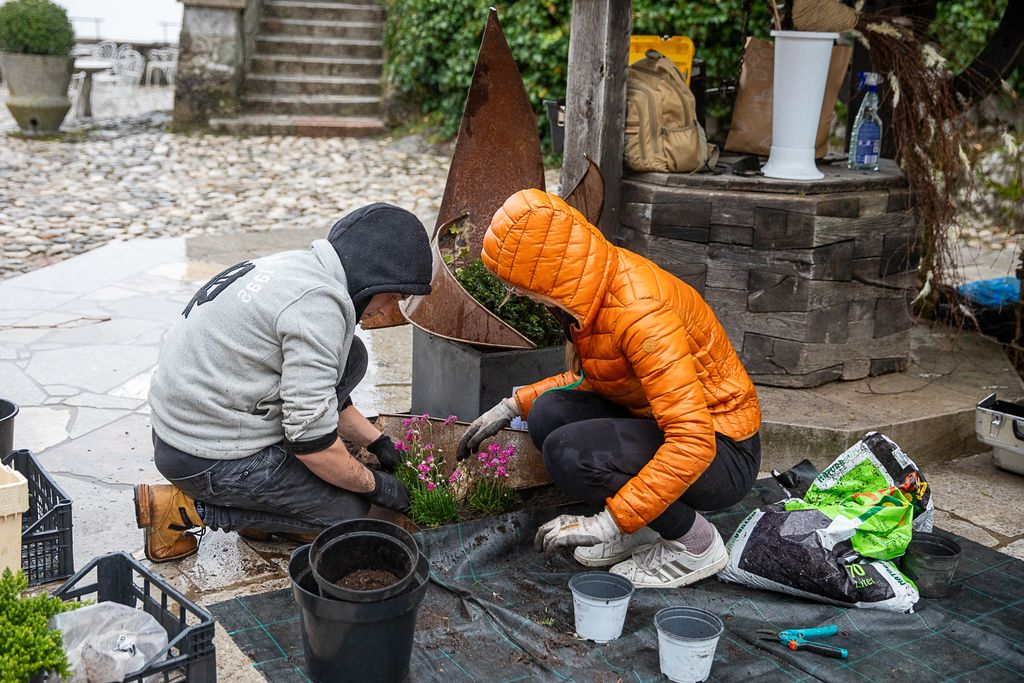 Tekmovanje mladih vrtnarjev in cvetličarjev na Blejskem gradu