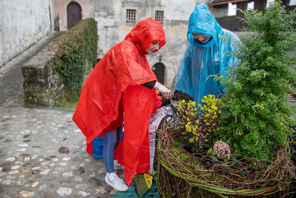 Tekmovanje mladih vrtnarjev in cvetličarjev na Blejskem gradu