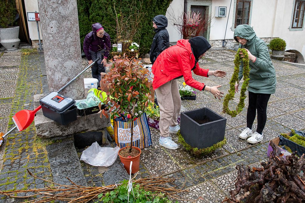 Mednarodno tekmovanje mladih vrtnarjev in cvetličarjev na Blejskem gradu. Foto: Mirko Kunšič