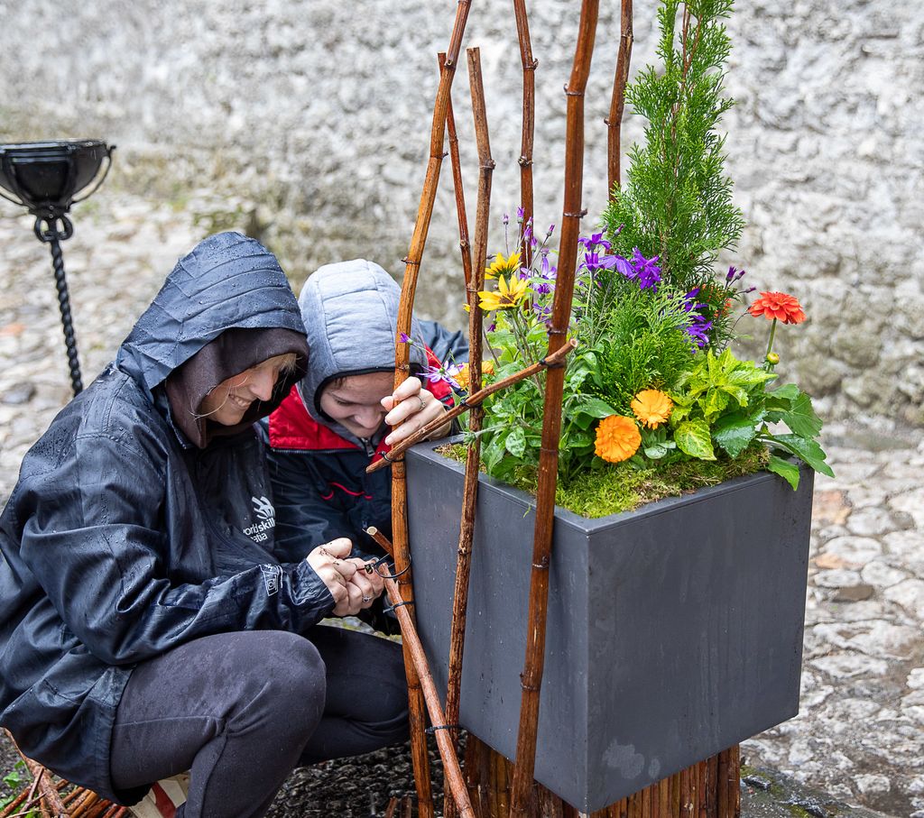 Mednarodno tekmovanje mladih vrtnarjev in cvetličarjev na Blejskem gradu. Foto: Mirko Kunšič