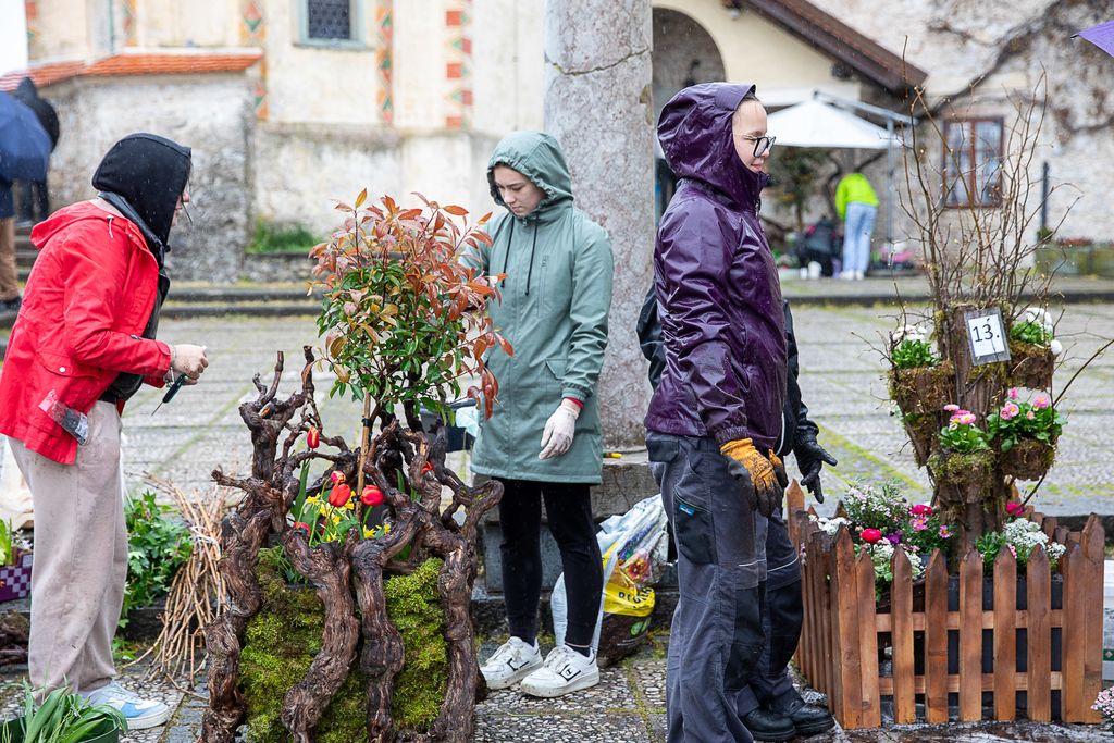 Mednarodno tekmovanje mladih vrtnarjev in cvetličarjev na Blejskem gradu. Foto: Mirko Kunšič