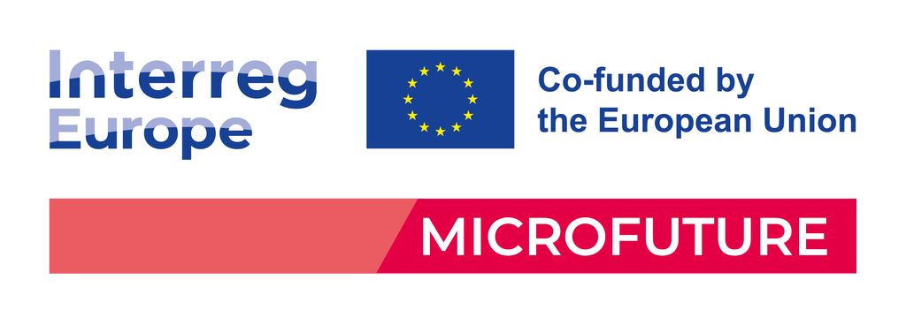 MICROFUTURE - nov podjetni&scaron;ki projekt za ranljive skupine