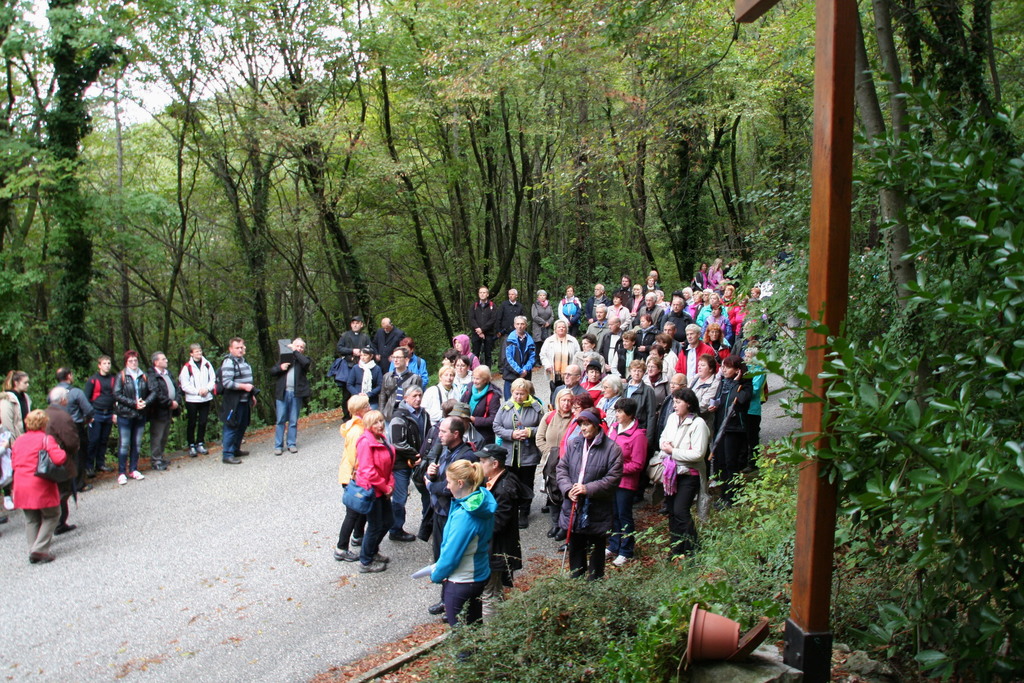 Romanje dekanije Domžale na  Sveto goro