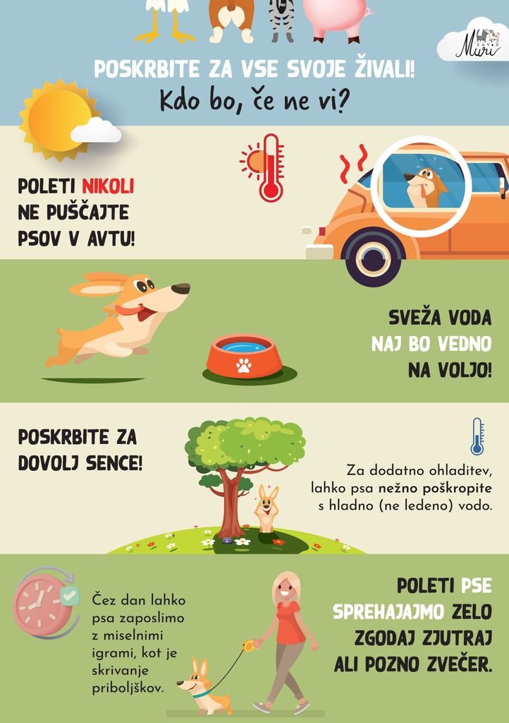 Kratki nasveti za pasje poletje