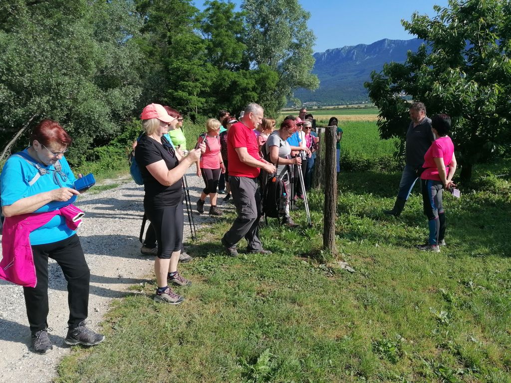 Krajši pohod v češnjev sadovnjak