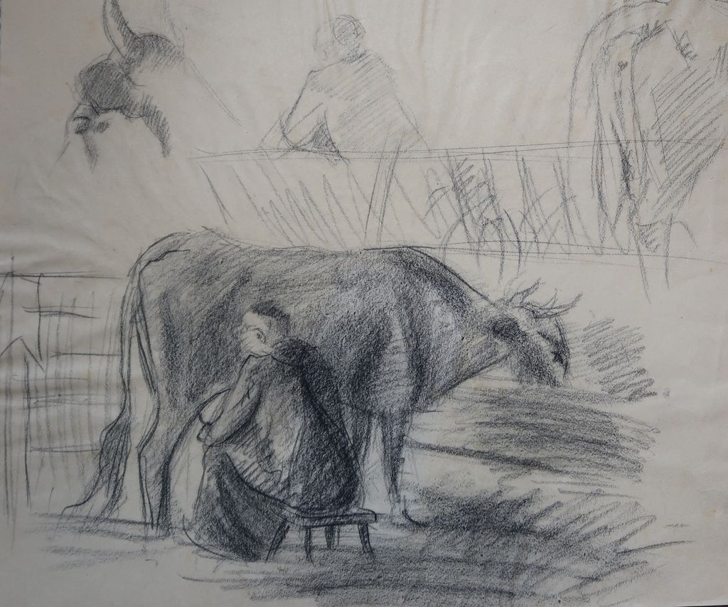 Harald Wurzbach pl. Tannenberg, Pri molži in študija krave (papir; risba s svinčnikom; zasebna last)