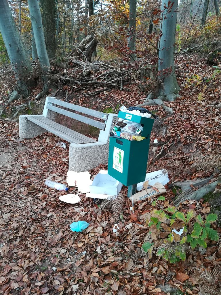 Smetenje v naravnem okolju se je povečalo