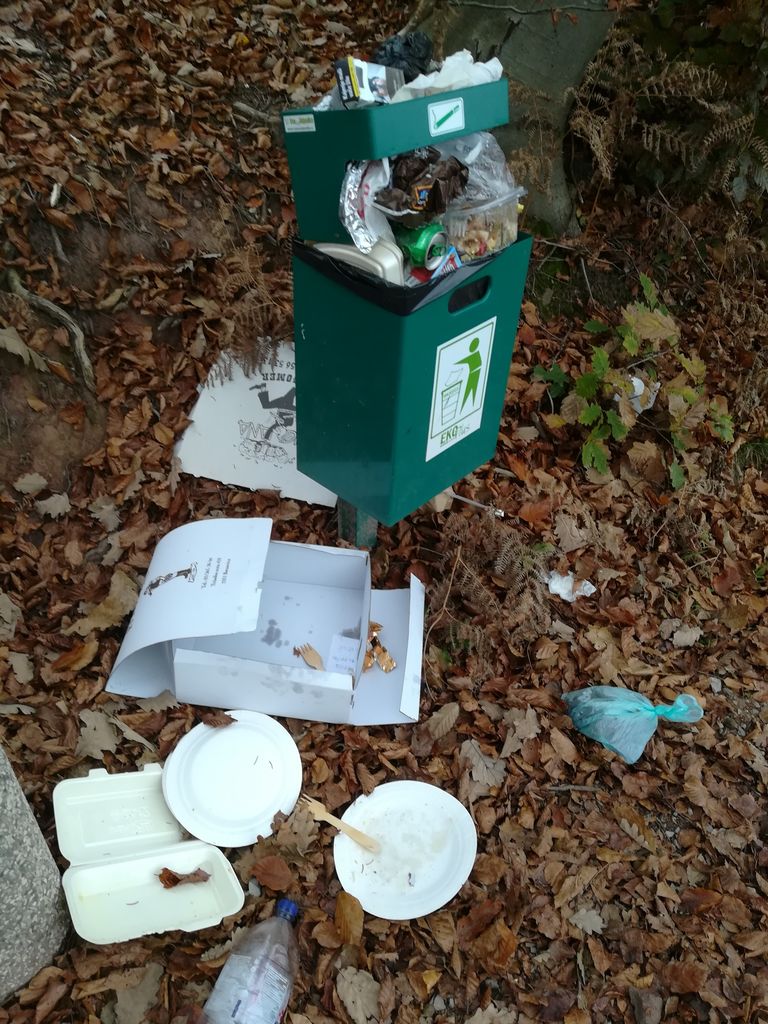 Smetenje v naravnem okolju se je povečalo